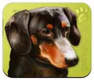 Dachshund_Dog Mouse Pad colors green